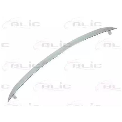 Motor Kaput Çıtası Clıo Thalıa 12Sonrası Nikelaj (Oem No: 8200784444)