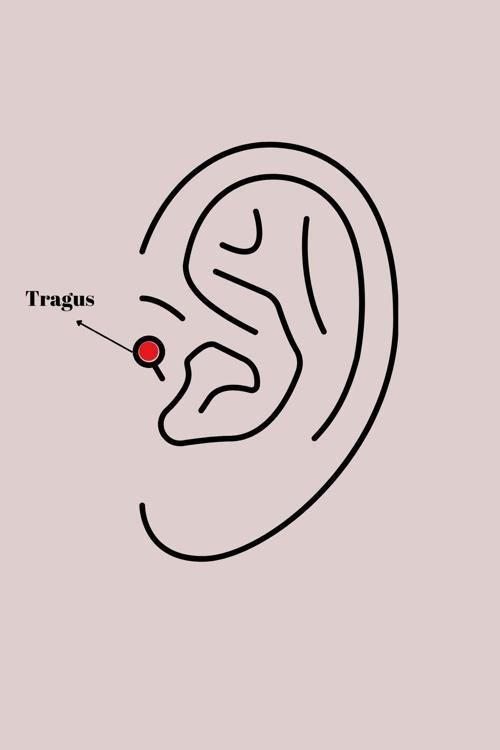 Zarif Kadın için Silver Çelik Zirkonlu Deniz Yıldızı Tragus Piercing
