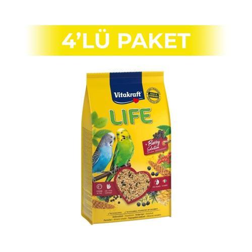 Life Muhabbet Kuşu Yemi 800 Gr 4 Adet