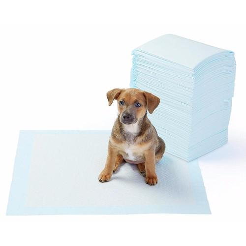 Büro Ev Evcil Hayvanı için 10PARÇA 90x60CM Köpek Tuvalet Eğitim Ped Seti