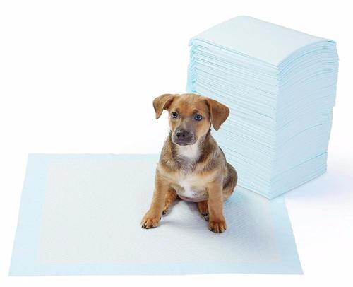 Büro Ev Evcil Hayvanı için 30PARÇA 60x60CM Köpek Tuvalet Eğitim Pedi Seti