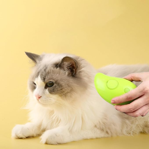 Büro Ev Evcil Hayvanı için Buharlı Kedi Tarağı