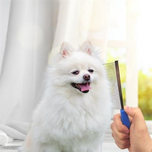 Büro Ev Evcil Hayvanı için Tek Taraf Metal Diş Tüy Açıcı Kedi Köpek Tarağı