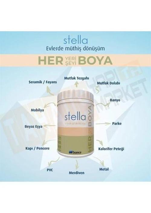 Stella B2 Baz Saf Akrilik Boya 0,50 Lt