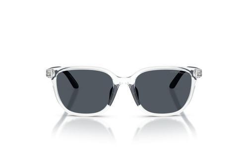 EMPORIO ARMANI 4006U 589387 49-16