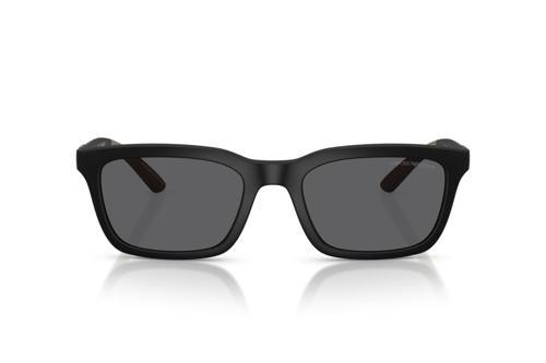 EMPORIO ARMANI 4249U 500181 55-20