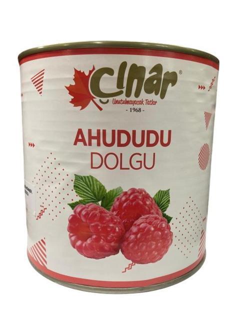 AHUDUDU DOLGU 2700 G