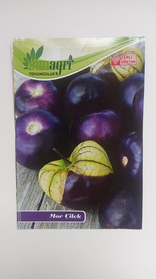 Sunagri Mor Çilek Tohumu - 10 Adet | Organik, Verimli, Lezzetli Mor Çilek Yetiştiriciliği