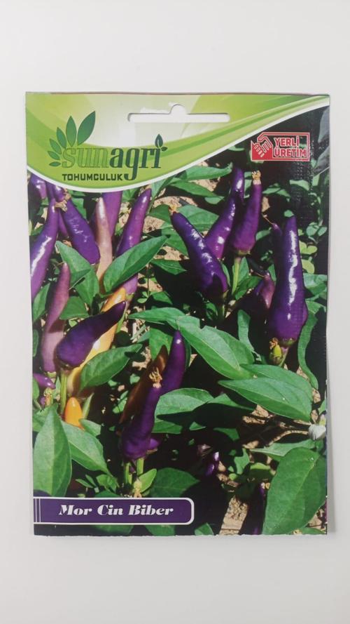 Sunagri Mor Acı Cin Biber - Bahçe ve Saksıda Dikime Uygun