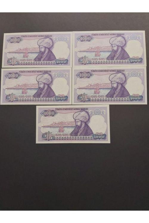 Escoines Koleksiyon 3996367e8895490fcd Mor Binlik 7. emisyon kağıt para 1000 lira seri takipli ÇİL