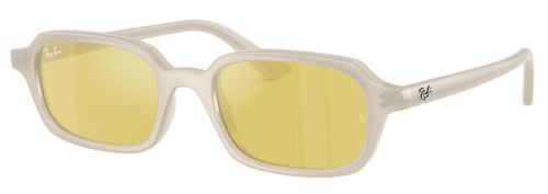 RB4455 6808/6D 49 Unisex Güneş Gözlüğü
