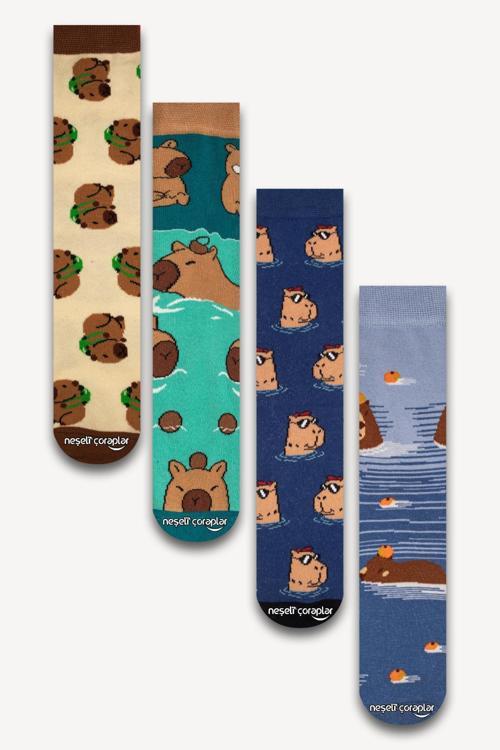 4'lü Capybara Renkli Çorap Set