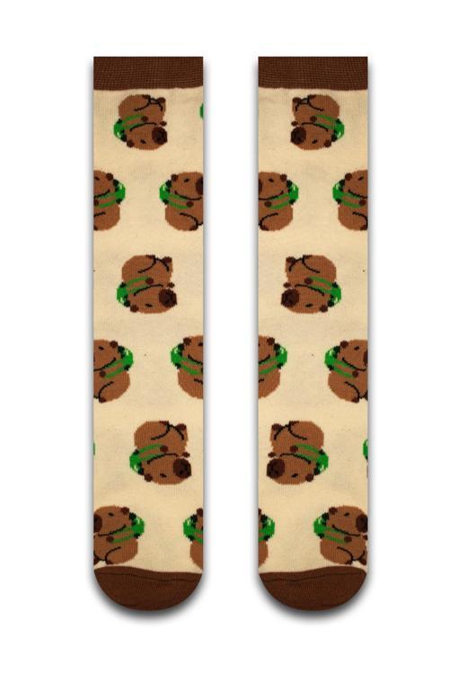 Capybara Renkli Erkek Çorap