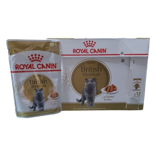 British Shorthair Adult 85 Gr