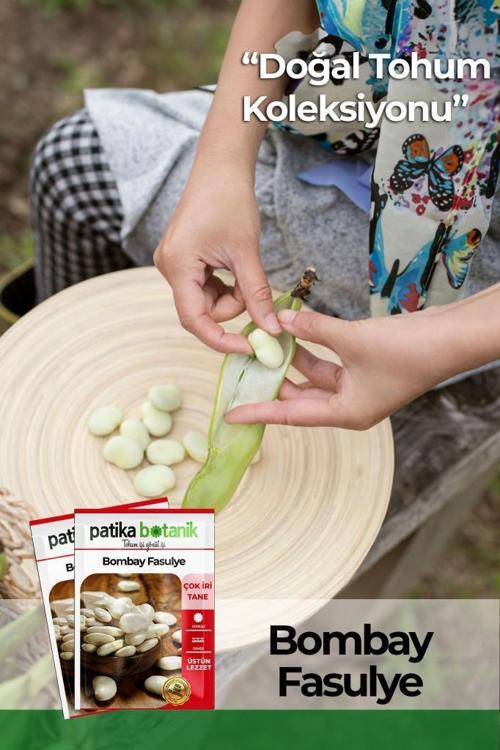 20 Adet Bombai Fasulye Tohumu