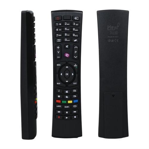 Küçük Kalıp Vestel A4891 Lcd Led TV Kumanda