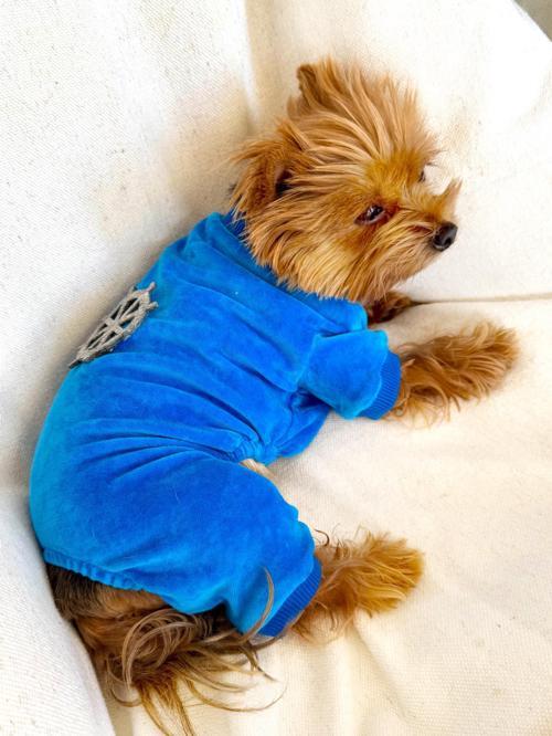 Blue Seas Köpek Tulum Pijama