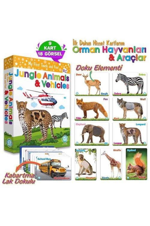 Özel Üretim Görsel Algı Eğlenceli Öğrenme Hisset Orman Hayvanları Ve Araçlar Eğitim Kartları