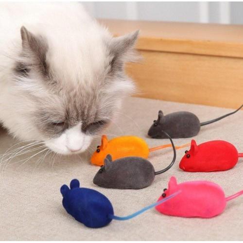 4 Adet Kedi Eğitim Oyun Faresi Sesli