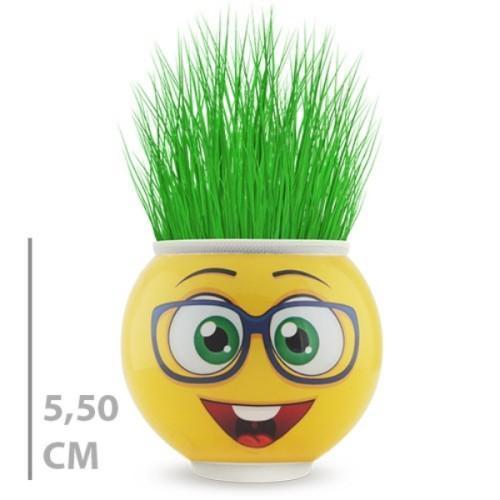 Büro Ev Ofis Dekoru için Emoji Figürlü Çim Adam Saksı