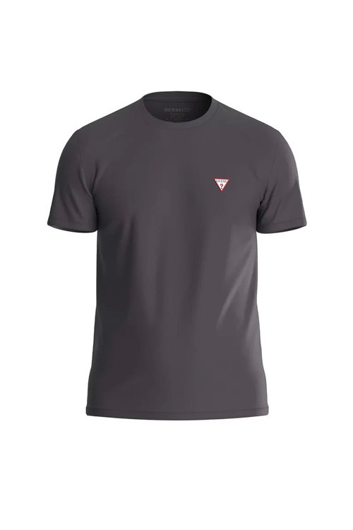 Erkek Kısa Kollu Gri T-Shirt