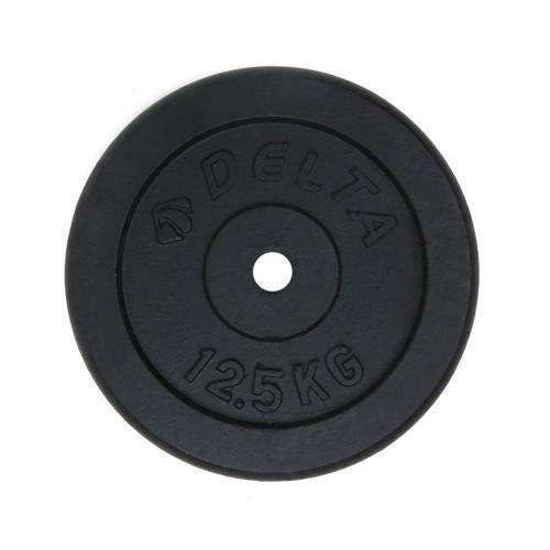 12,5 Kg x 2 Adet Siyah Döküm Plaka Çiftli Ağırlık Flanş