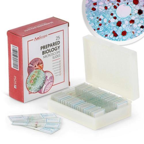 PS25P Hazır Mikroskop 25 Adet Slayt Seti