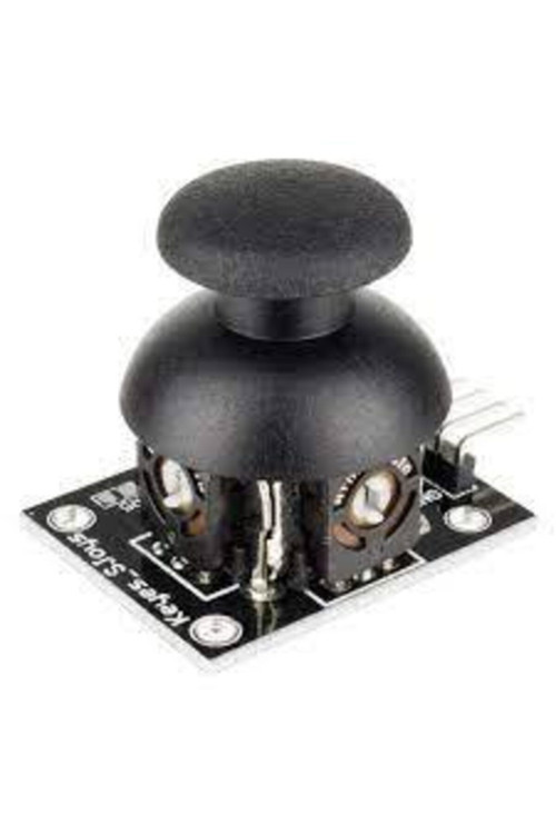 Joystick 2 Eksenli