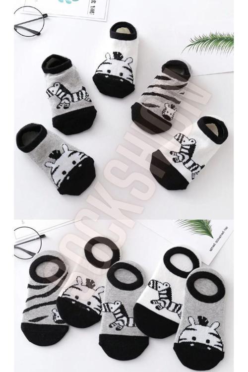 Çocuk Zebra Desenli Renkli Patik Çorap Seti 5'Li Paket
