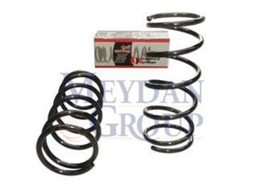 Citroen Jumper 02/07 Ön Helezon Yayı Sağ/sol (2li̇ Set)2.0/2.3/2.8jtd (17,5x185x444)(stdr) 