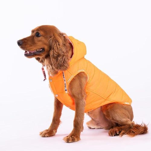 Neon Orange Railway Vest Köpek Montu 2XLarge 38x43x58 cm