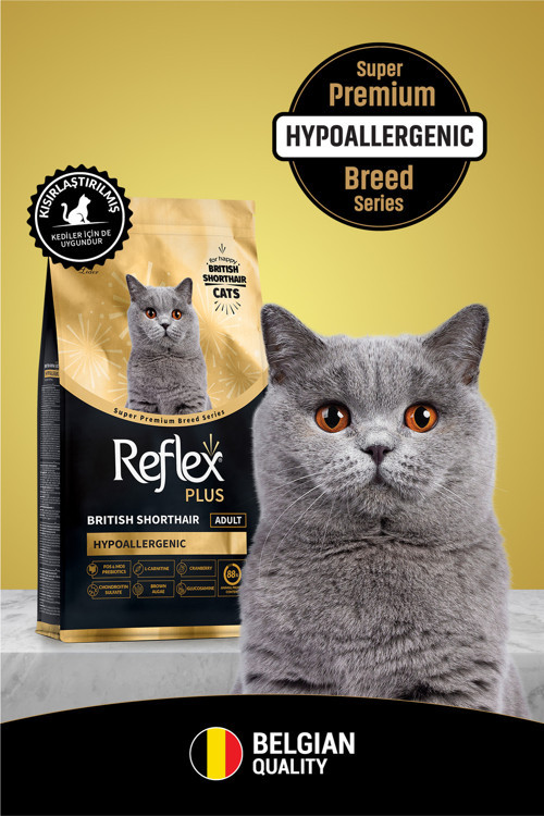 Plus British Shorthair Yetişkin Kedi Maması 8 Kg