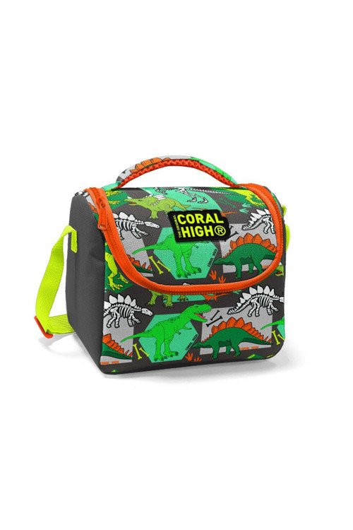 Coral High Dinozor Desenli Thermo Beslenme Çantası 11832