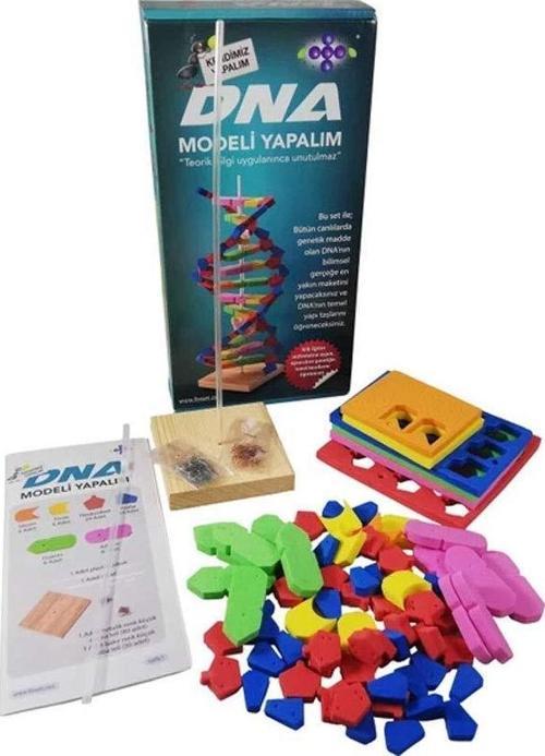Hobi Eğitim Dünyası DNA Modeli Yapalıml Eğitici Deney Seti