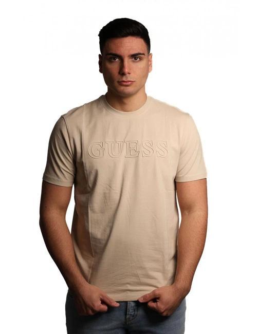 Erkek Gri Alphy Logolu Tişört