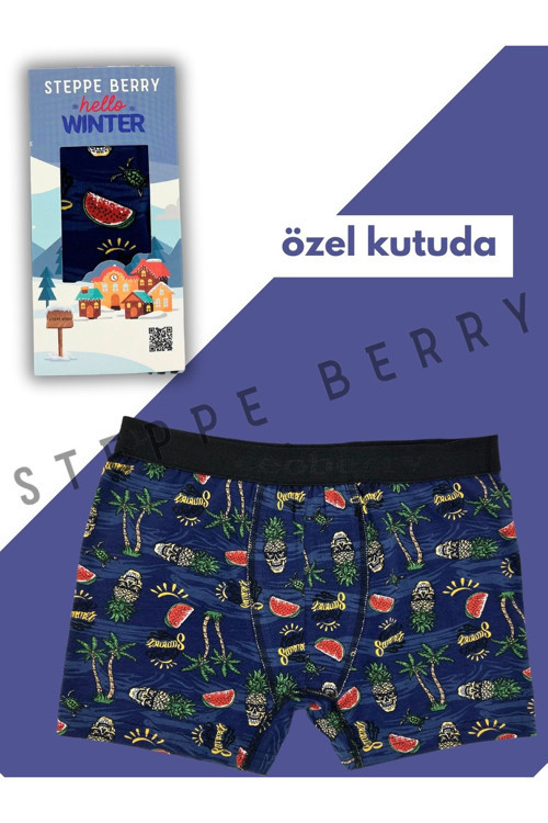 Kutulu Desenli Erkek Boxer