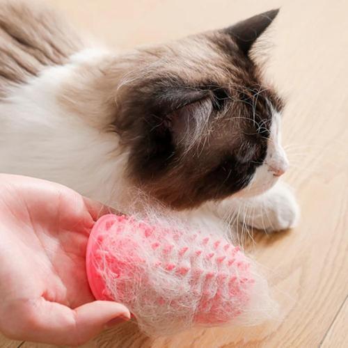 Kedi Köpek Köşe Kaşıyıcı ve Tüy Temizleyici Aparatı 1 Adet
