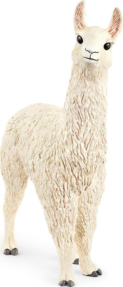 Lama 13920