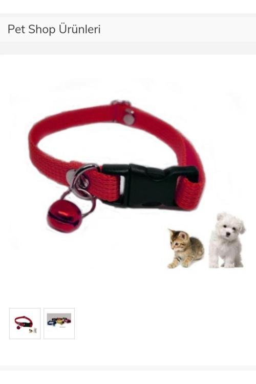 Zilli Kedi Ve Köpek Tasması