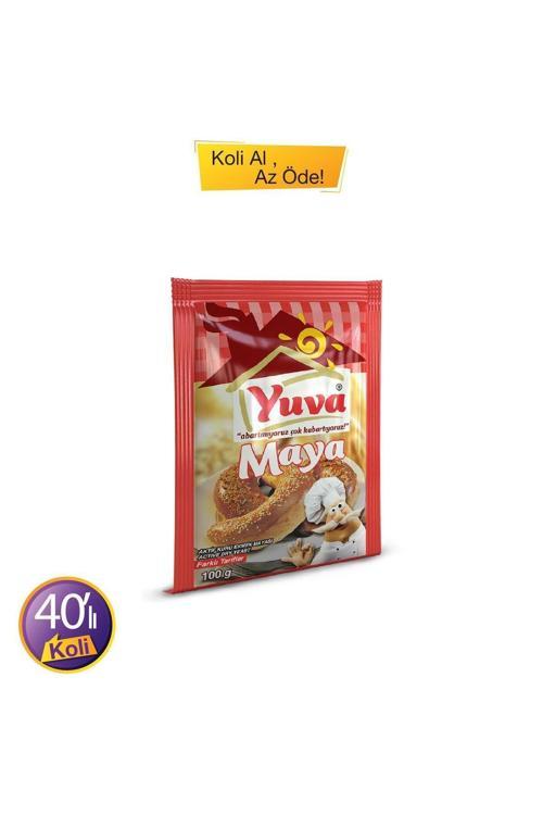 Aktif Kuru Maya 100 Gr. x 40 (Koli)