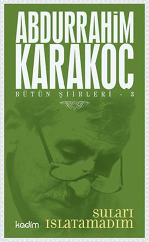 Bütün Şiirleri 3 - Suları Islatamadım