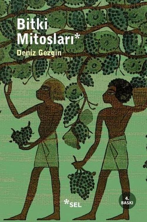 Bitki Mitosları