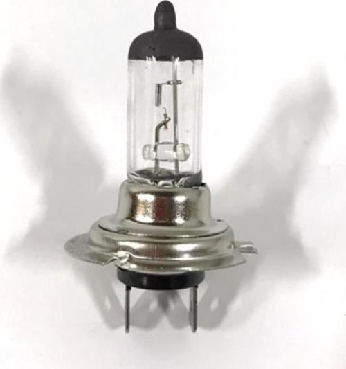 12V 55W H7 Ampül