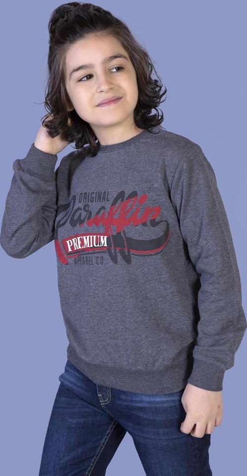 Toontoy Erkek Çocuk Premium Baskılı Sweatshirt