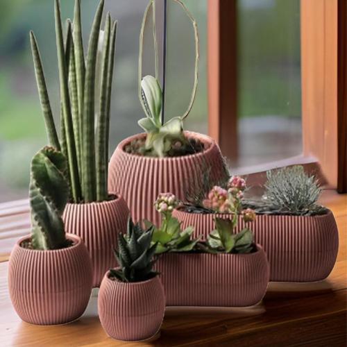 Mercan Dekoratif Sukulent Kaktüs Plastik Saksı Takımı 6'lı Set Pembe