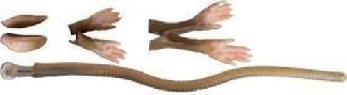 LB 3D Rad Maintenance Kit 20 cm Brown Sahte Balık