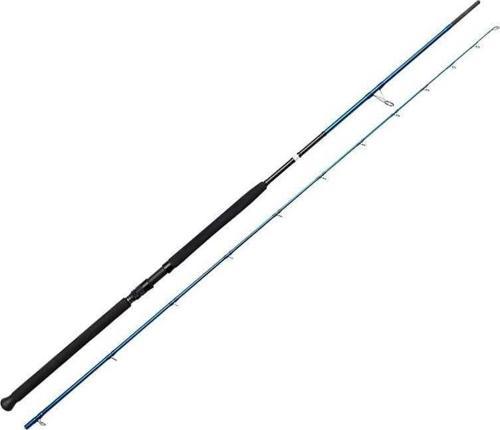 SGS2 Shore Jigging 9'6''/2.90m 20-80 gr 2 Parça