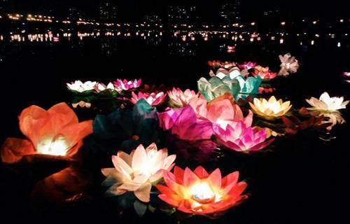 Büro Ev Dekoru için Nilüfer Su Feneri