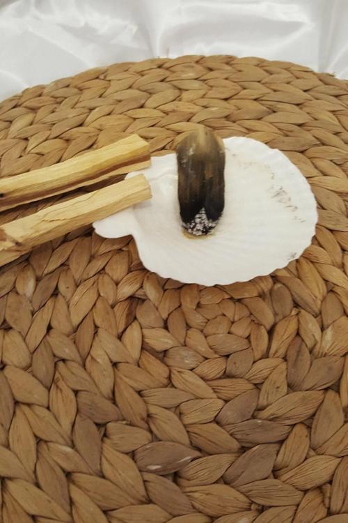 Palo Santo Nazar a Doğal Tütsü Pala Santo 2 Adet İstiridye  Palosanto luk ile Beraber Yoga PalaSanto