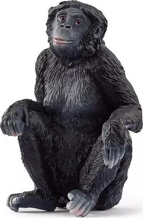 Schleich Wild Life Bonobo female 14875